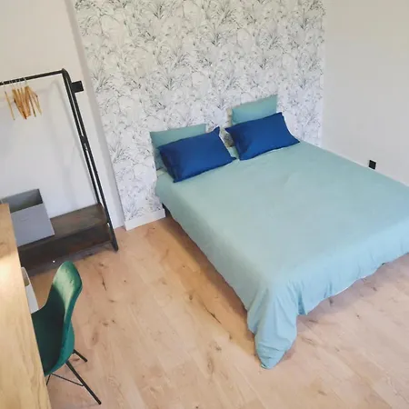 Le Nid Douillet De Apartment Sarreguemines